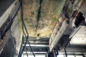 Best Comprehensive Air Testing for Mold Contaminants  in Harristown, IL